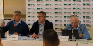 CISL Calabria, il Training Camp si apre con al centro partecipazione, responsabilità e futuro del lavoro
